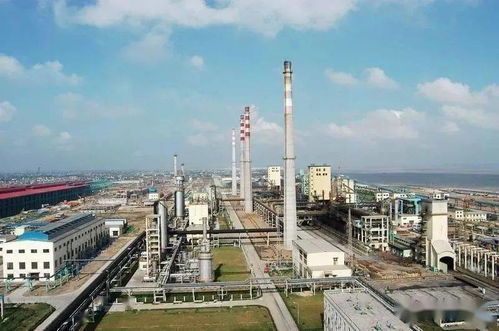 在困境中崛起 中国焦化四十年巨变